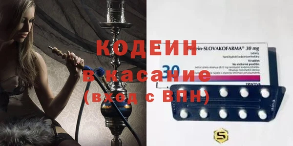 дурь Осташков