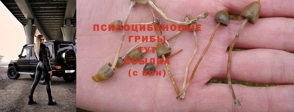 2c-b Переславль-Залесский