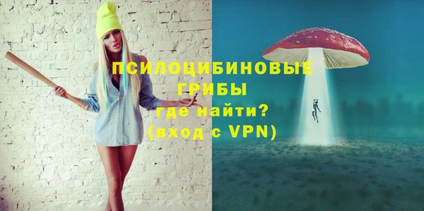 первитин Грязовец