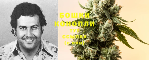 дурь Осташков