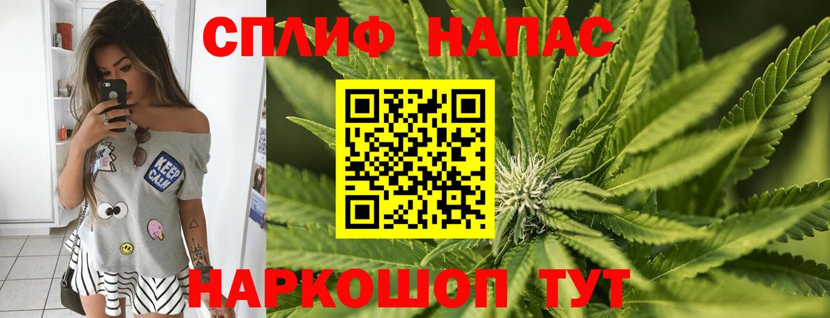 Шишки марихуана конопля Тавда