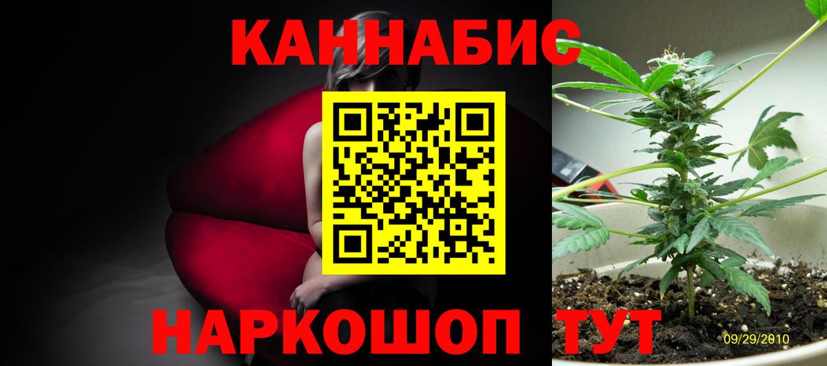 Псилоцибиновые грибы Тавда